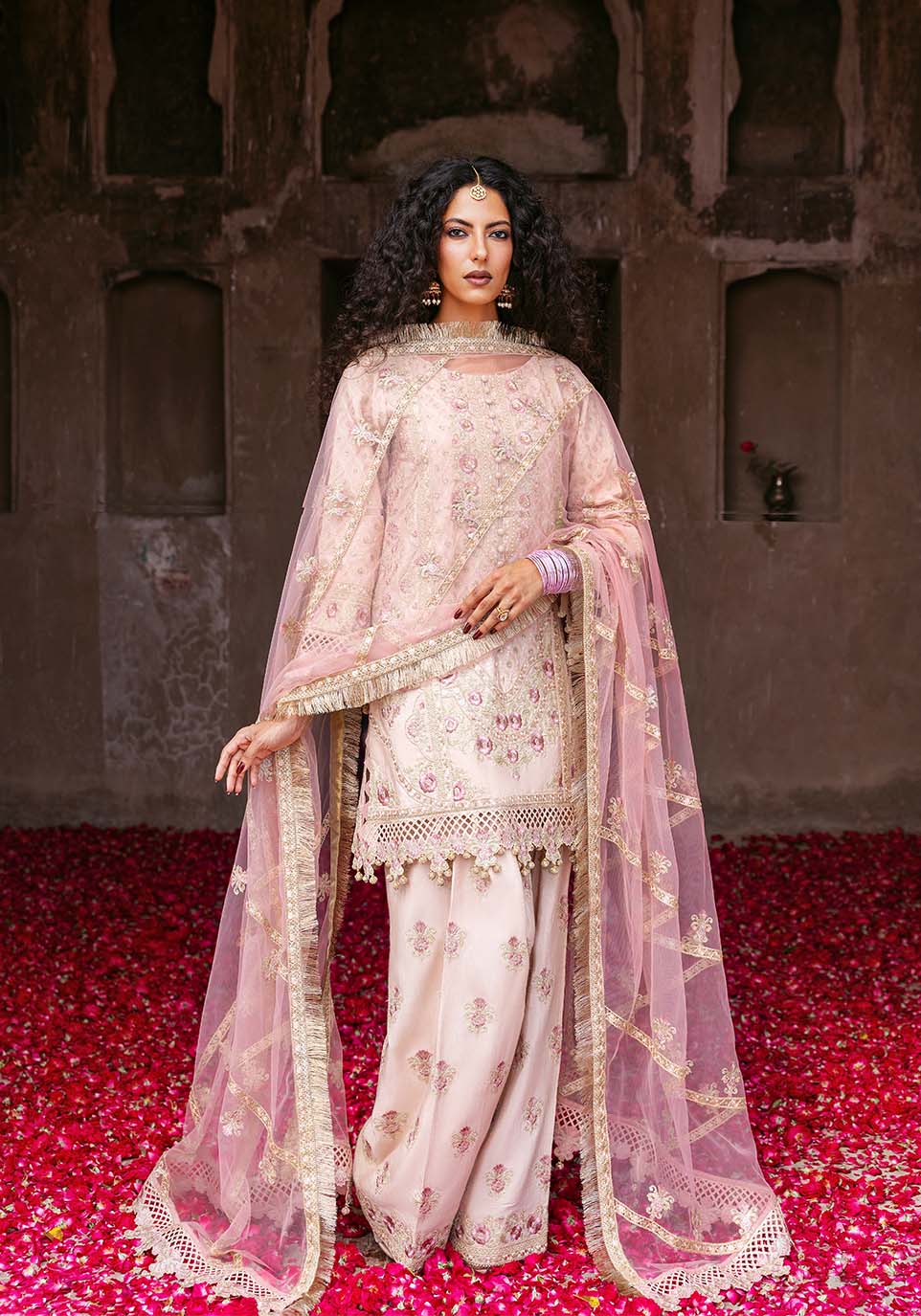 Zarqash | Arzoo Festive Collection | Bahār - House Of Hania