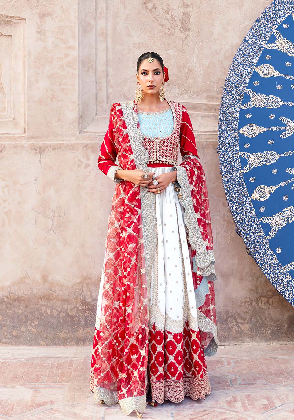 Zarqash | Arzoo Festive Collection | Gulrukh - House Of Hania