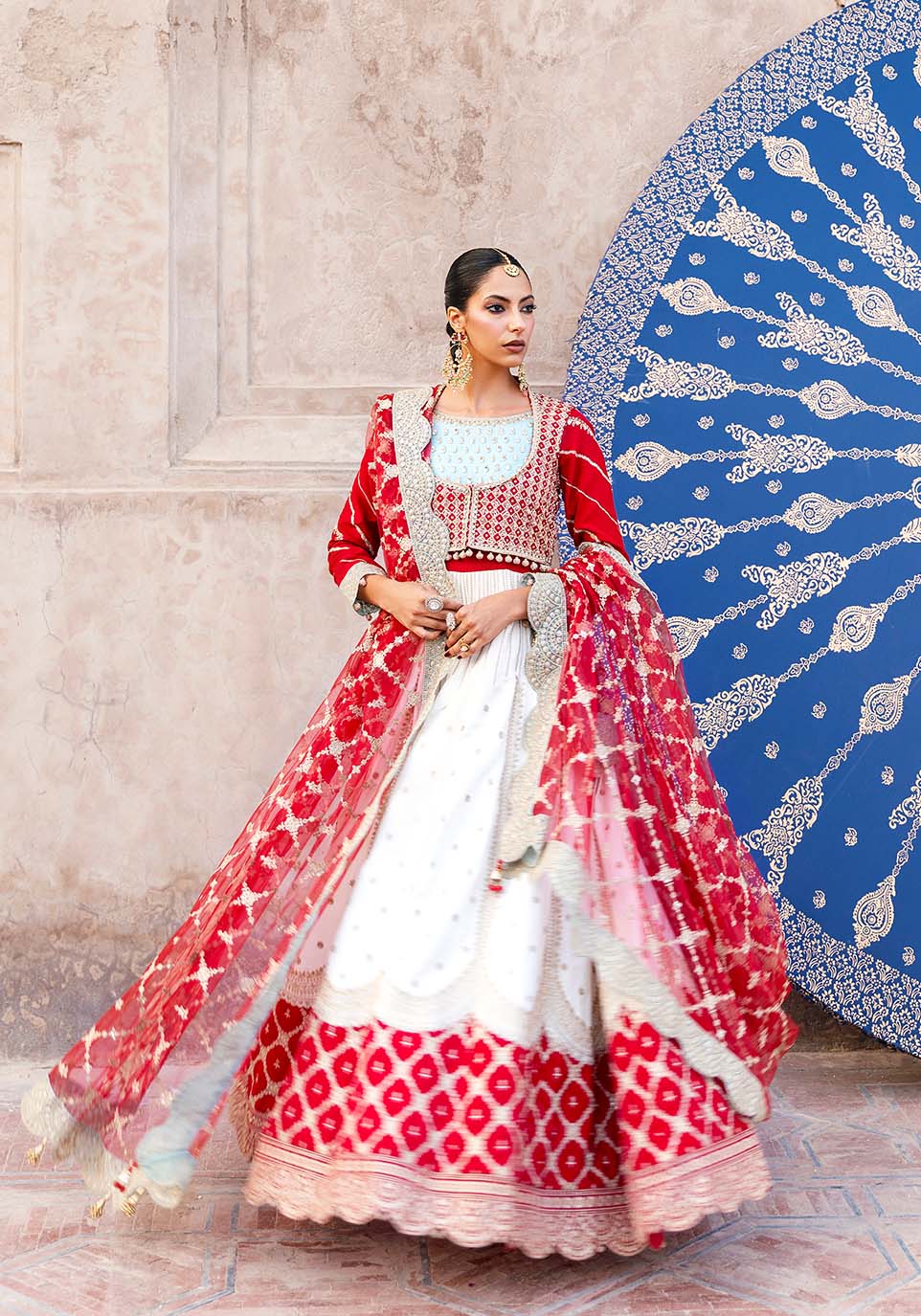 Zarqash | Arzoo Festive Collection | Gulrukh - House Of Hania