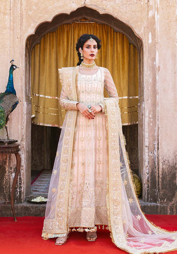 Zarqash | Arzoo Festive Collection | Naaz - House Of Hania