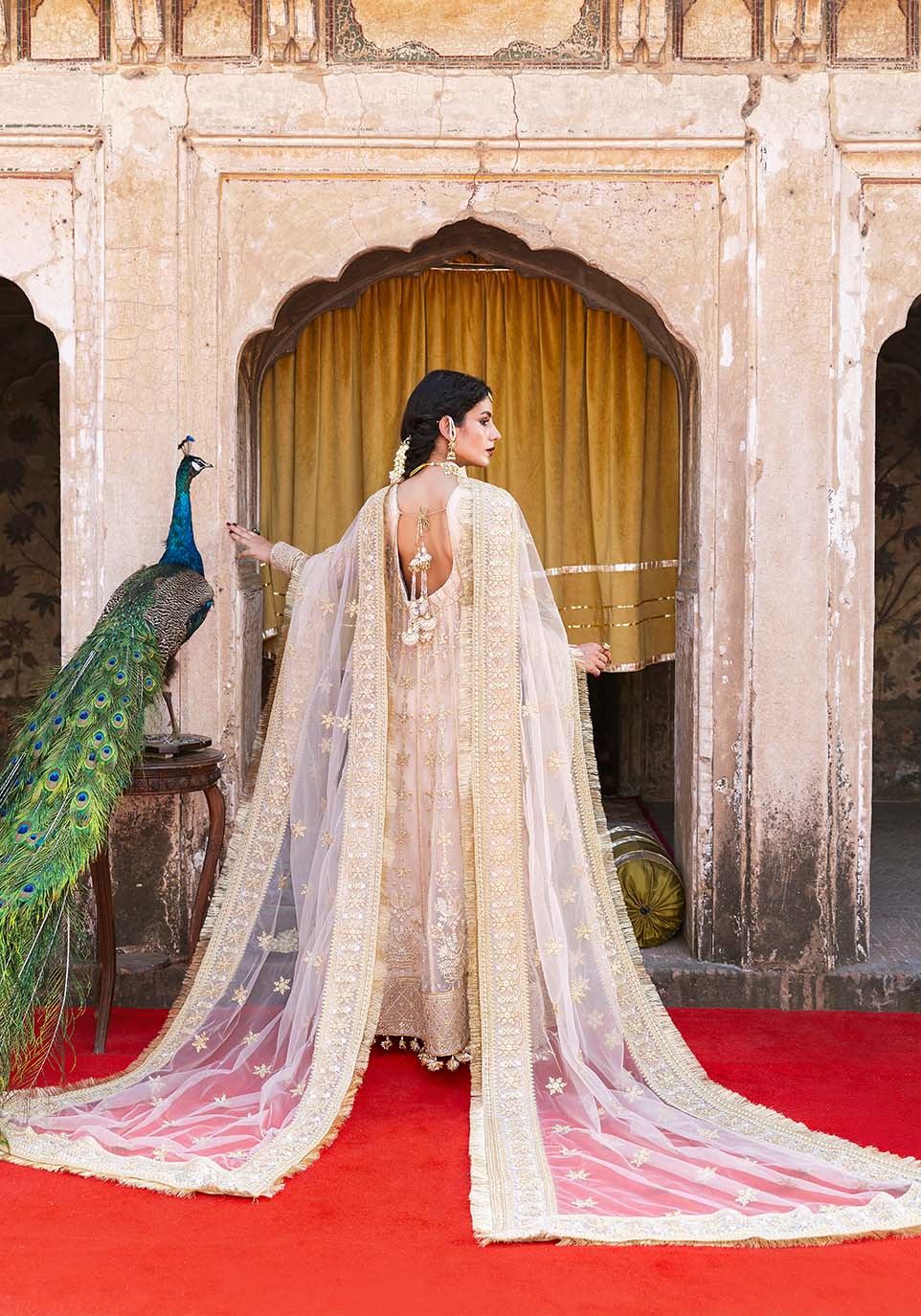 Zarqash | Arzoo Festive Collection | Naaz - House Of Hania