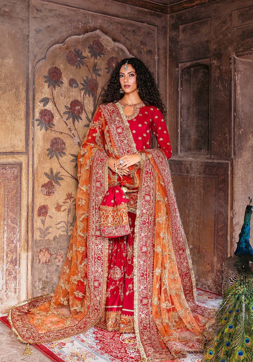 Zarqash | Arzoo Festive Collection | Rūbāb - House Of Hania