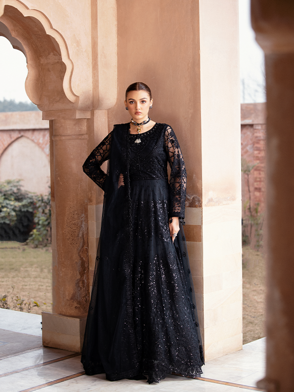 Zebtan | Zeenat Collection Vol 19 | ZN-10 - House Of Hania