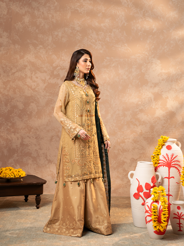 Zebtan | Zeenat Festive Collection | ZN-06 - House Of Hania
