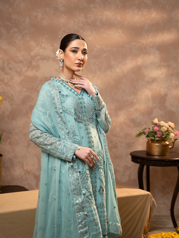 Zebtan | Zeenat Festive Collection | ZN-07 - House Of Hania