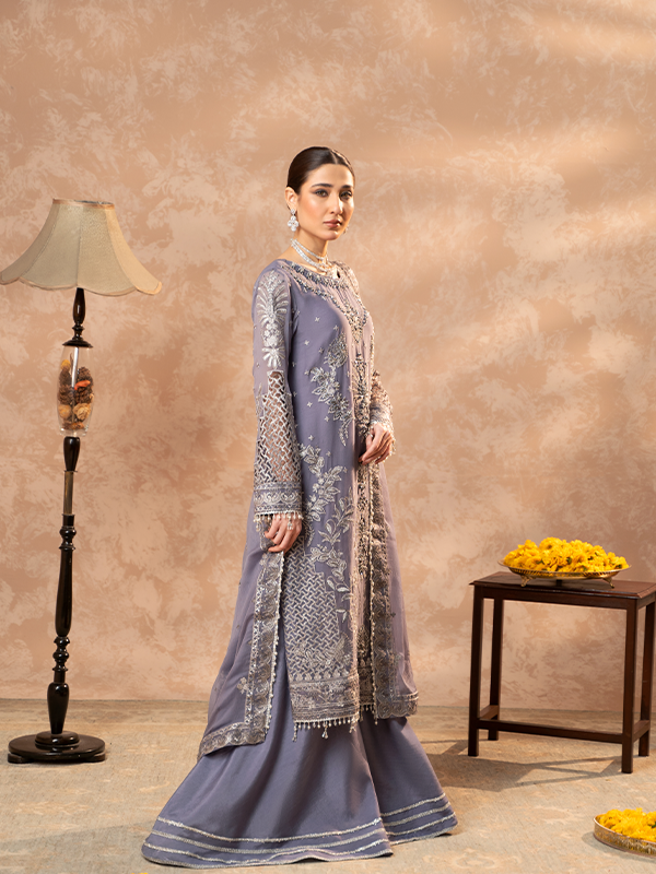 Zebtan | Zeenat Festive Collection | ZN-08 - House Of Hania