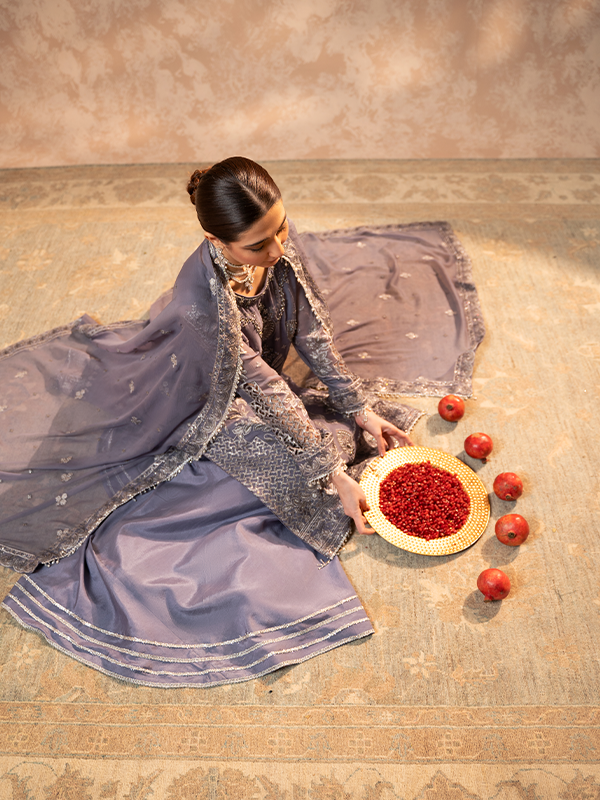 Zebtan | Zeenat Festive Collection | ZN-08 - House Of Hania