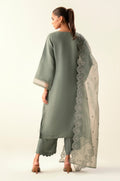Zeen | Winter Collection | Organza 16 - House Of Hania