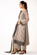 Zeen | Winter Collection | Organza 40 - House Of Hania