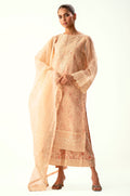 Zeen | Winter Collection | Organza 41 - House Of Hania