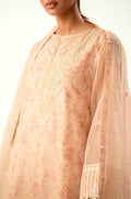 Zeen | Winter Collection | Organza 41 - House Of Hania