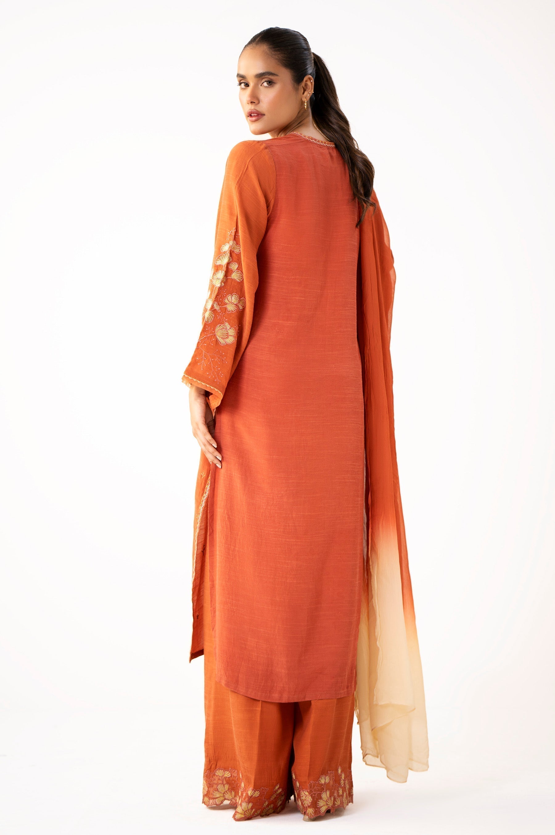 Zeen | Winter Collection | Raw Silk 20 - House Of Hania