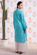 Zellbury | Summer Pret | Embroidered Kurta - 2875 - House Of Hania
