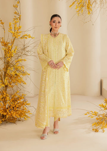 Aik | Lawn 26 vol 2 | Lawn - Look B2604A