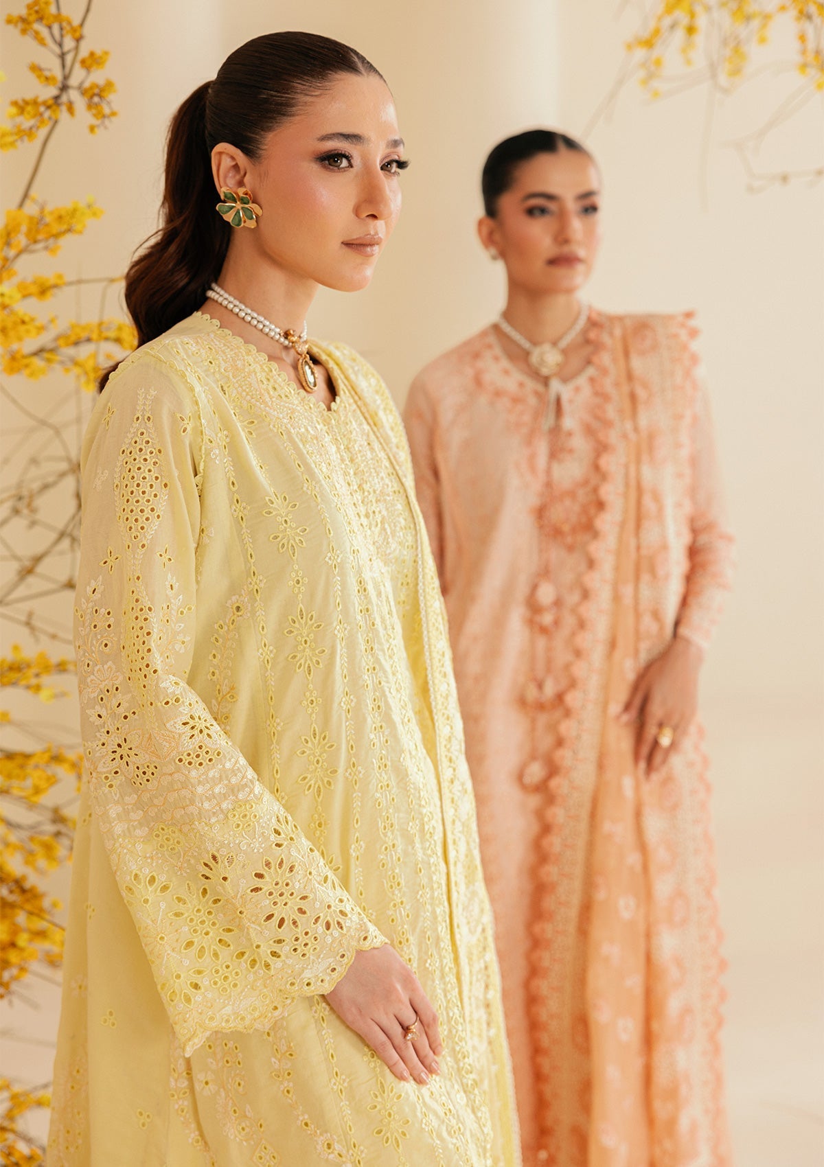 Aik Atelier | Lawn 26 Vol 2 | Look B2604A - 5